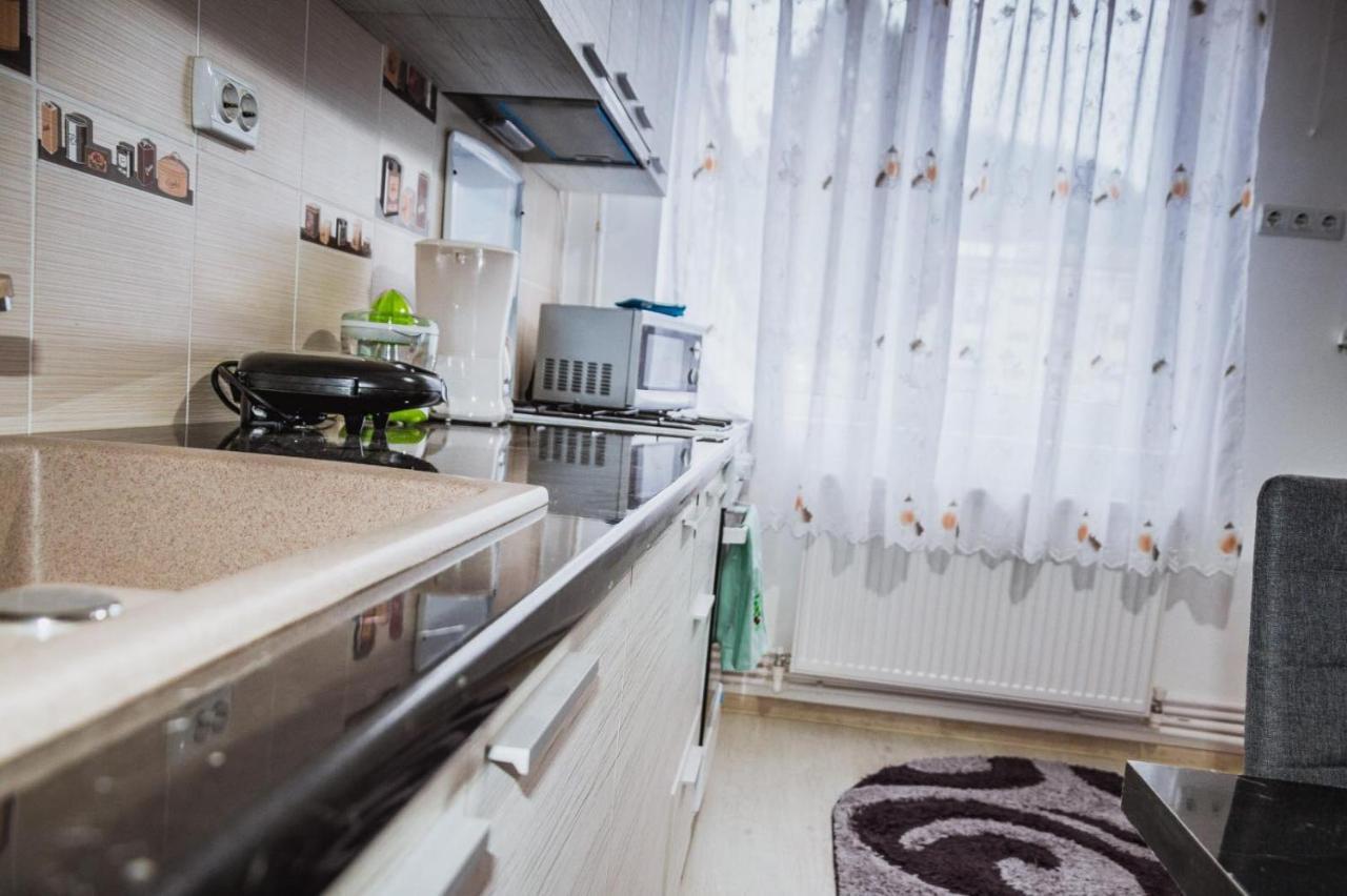 Alessia Residence Câmpulung Moldovenesc Buitenkant foto
