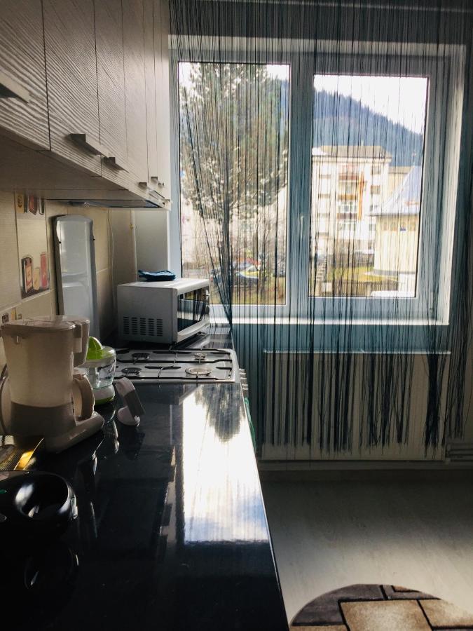 Alessia Residence Câmpulung Moldovenesc Buitenkant foto